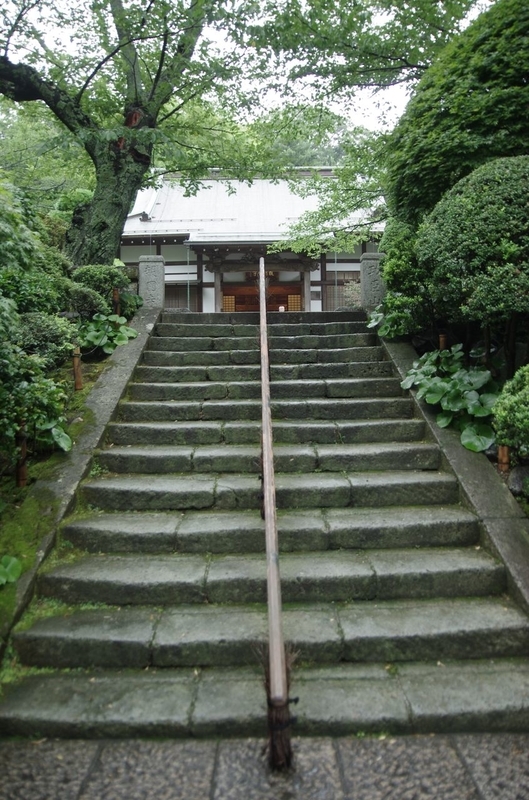 イメージ 7