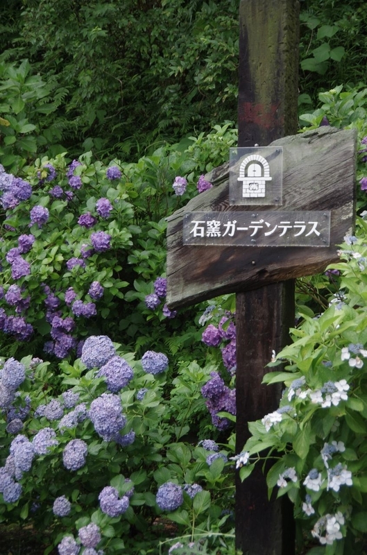 イメージ 5