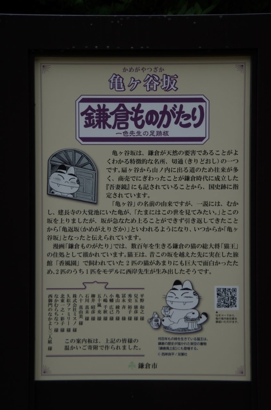 イメージ 6