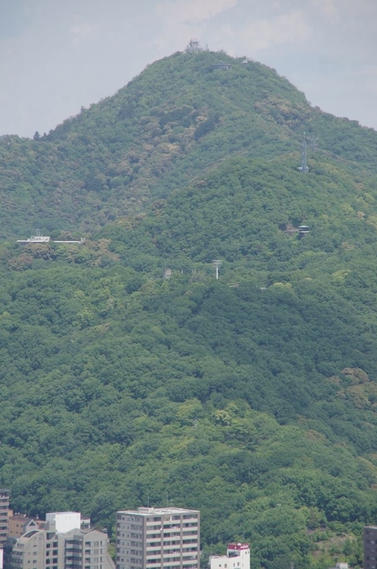 イメージ 5