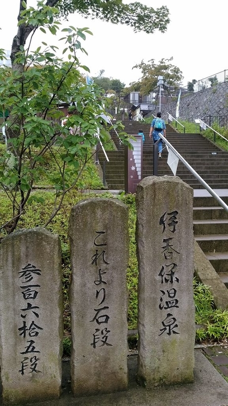 イメージ 7
