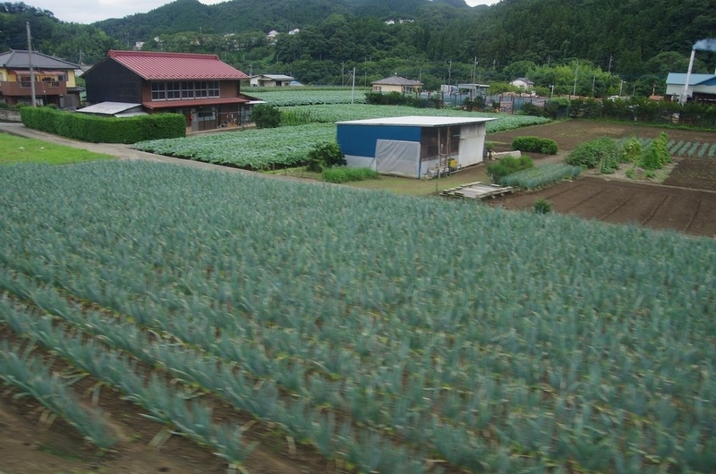 イメージ 10