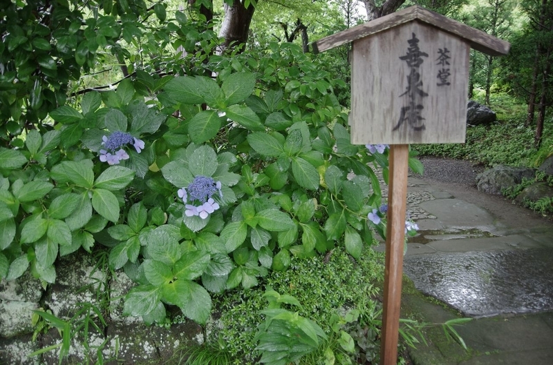 イメージ 10