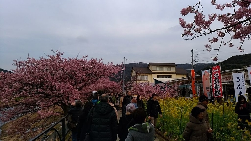 イメージ 7
