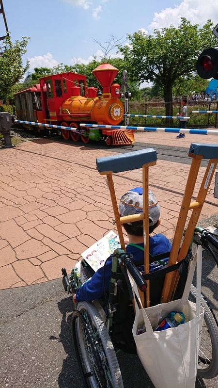 イメージ 11