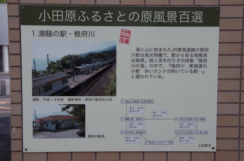 イメージ 13