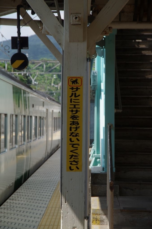 イメージ 5