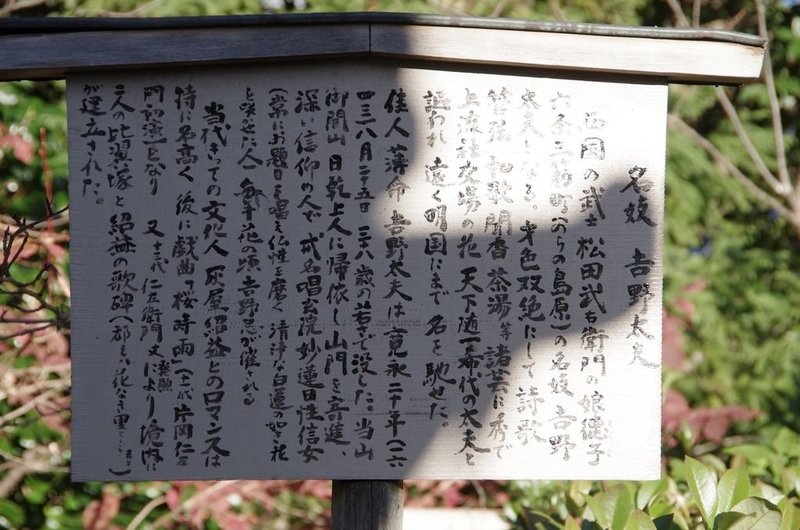 イメージ 10