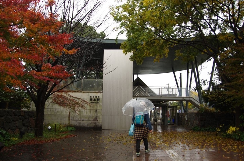イメージ 8