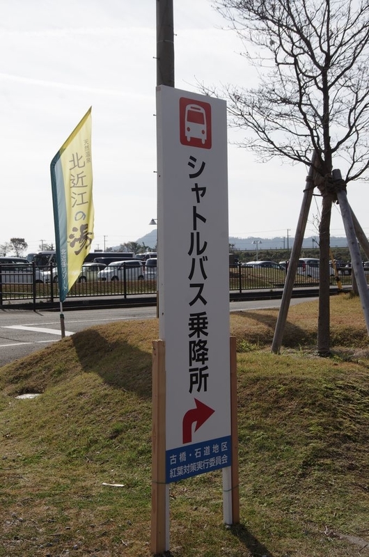 イメージ 11