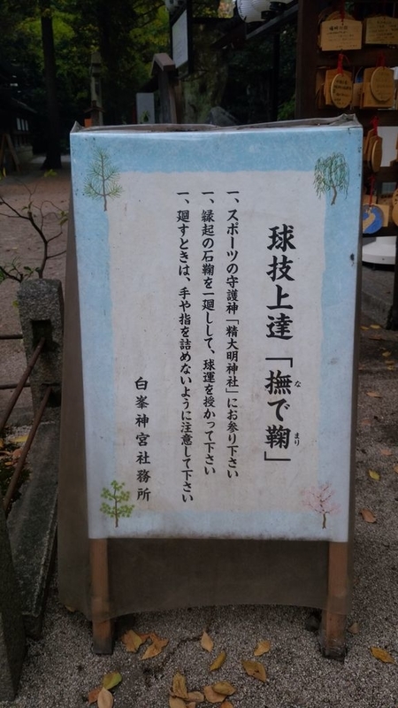 イメージ 7