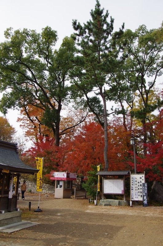 イメージ 12