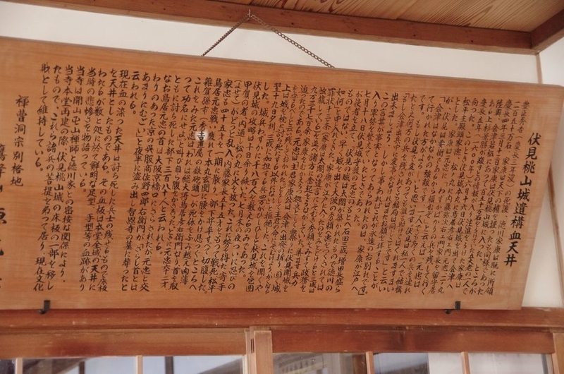 イメージ 17
