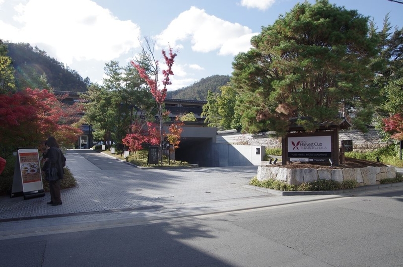 イメージ 7