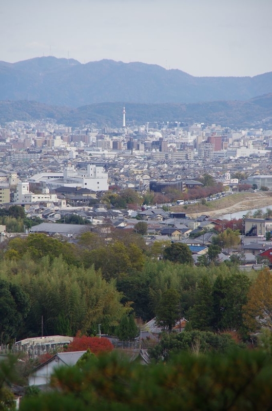 イメージ 7