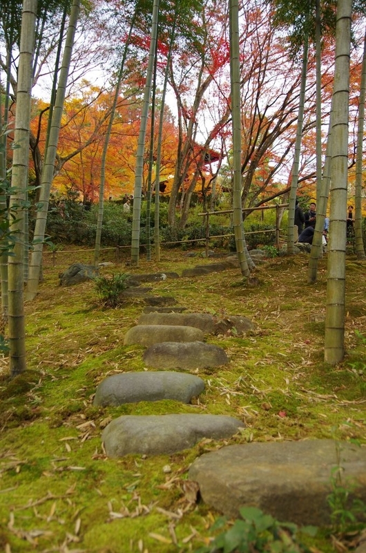 イメージ 10