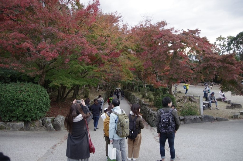 イメージ 27