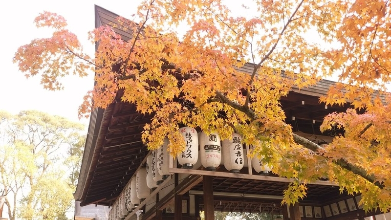 イメージ 10