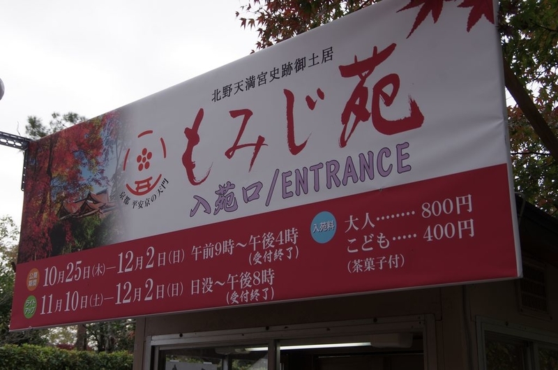 イメージ 10