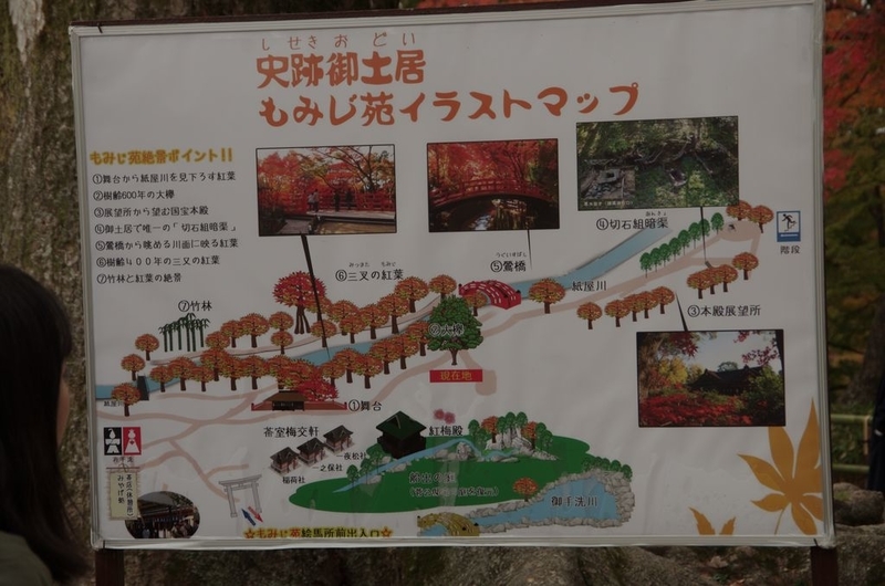 イメージ 11