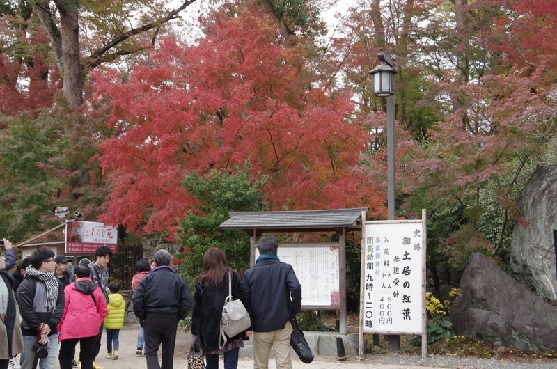 イメージ 8