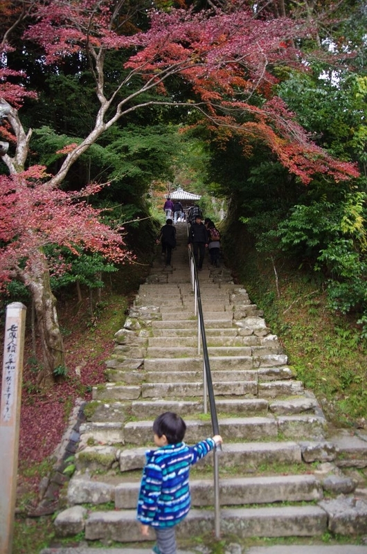 イメージ 10