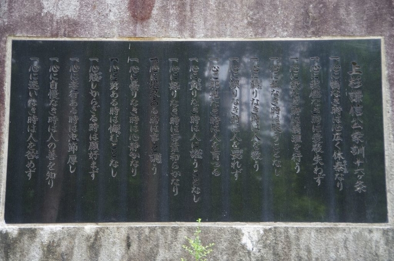 イメージ 9