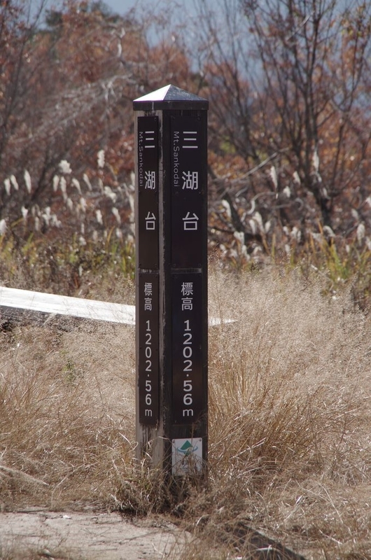 イメージ 7