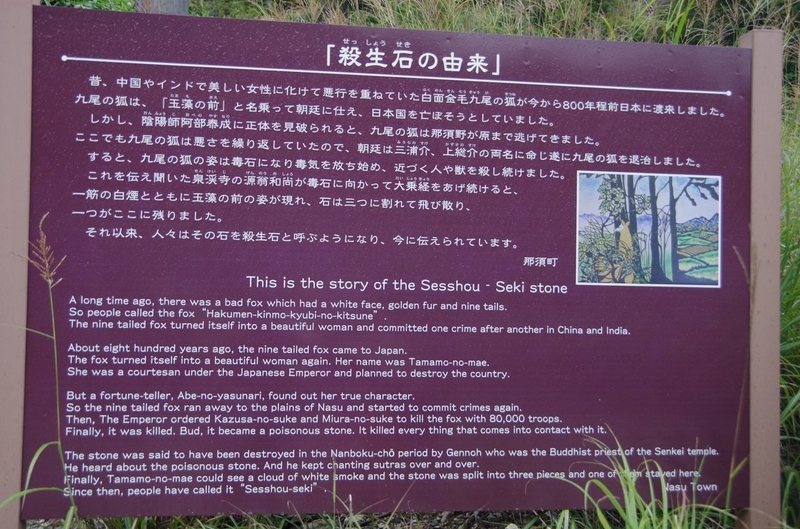 イメージ 8