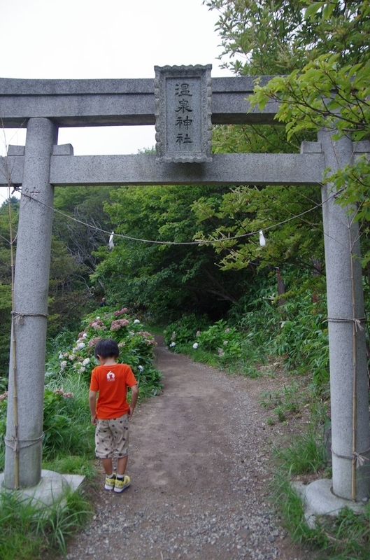 イメージ 10