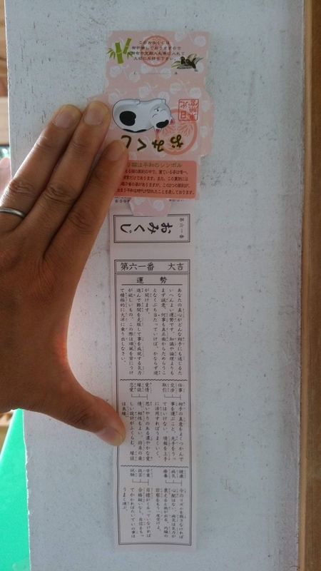 イメージ 14