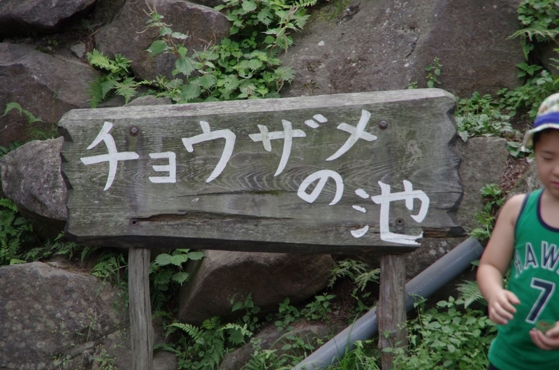イメージ 11