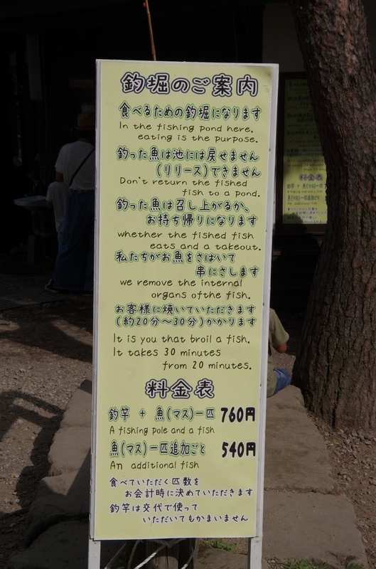 イメージ 16
