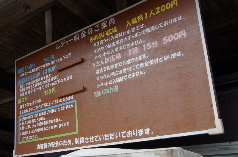 イメージ 19