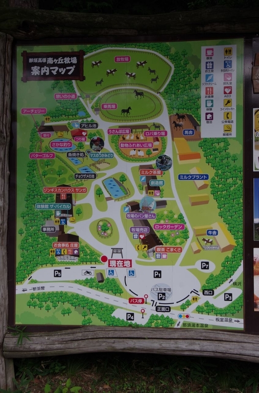 イメージ 3