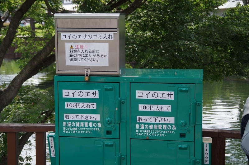 イメージ 12