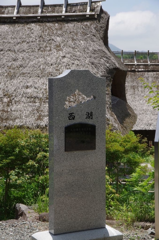 イメージ 5