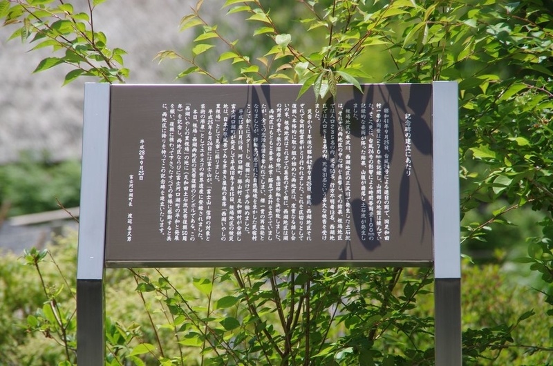 イメージ 6