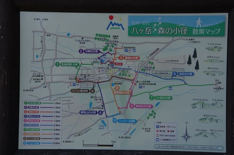 イメージ 7