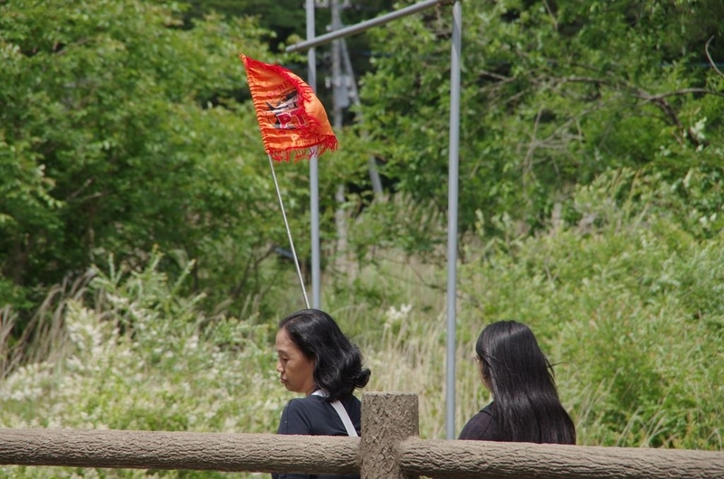 イメージ 12