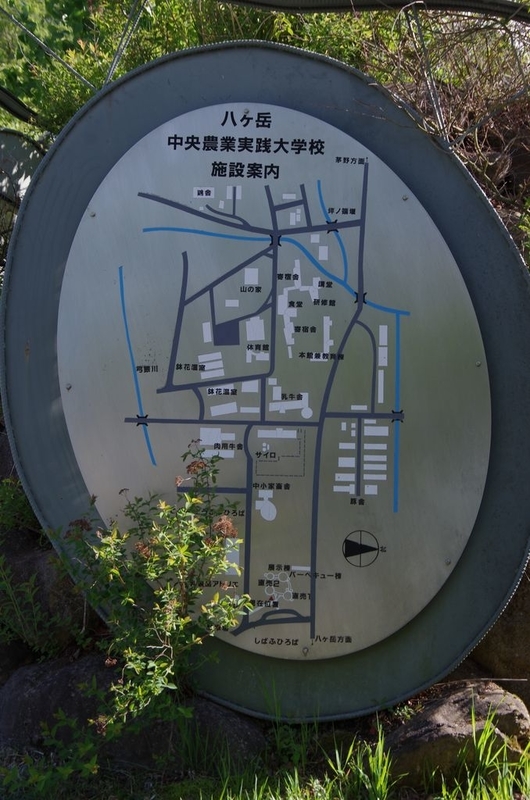 イメージ 4