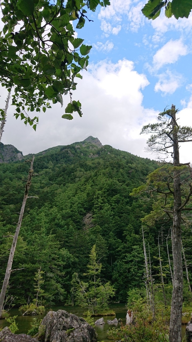 f:id:totsuspo:20190815230804j:plain