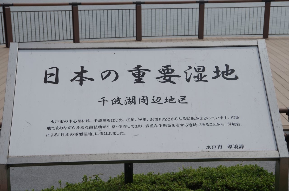 f:id:totsuspo:20190826231112j:plain