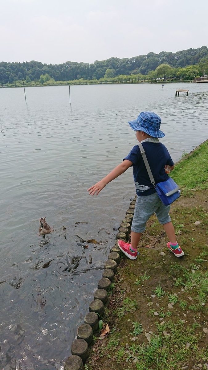 f:id:totsuspo:20190827064508j:plain