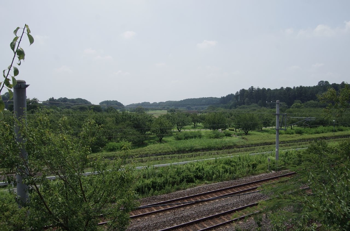 f:id:totsuspo:20190828220909j:plain