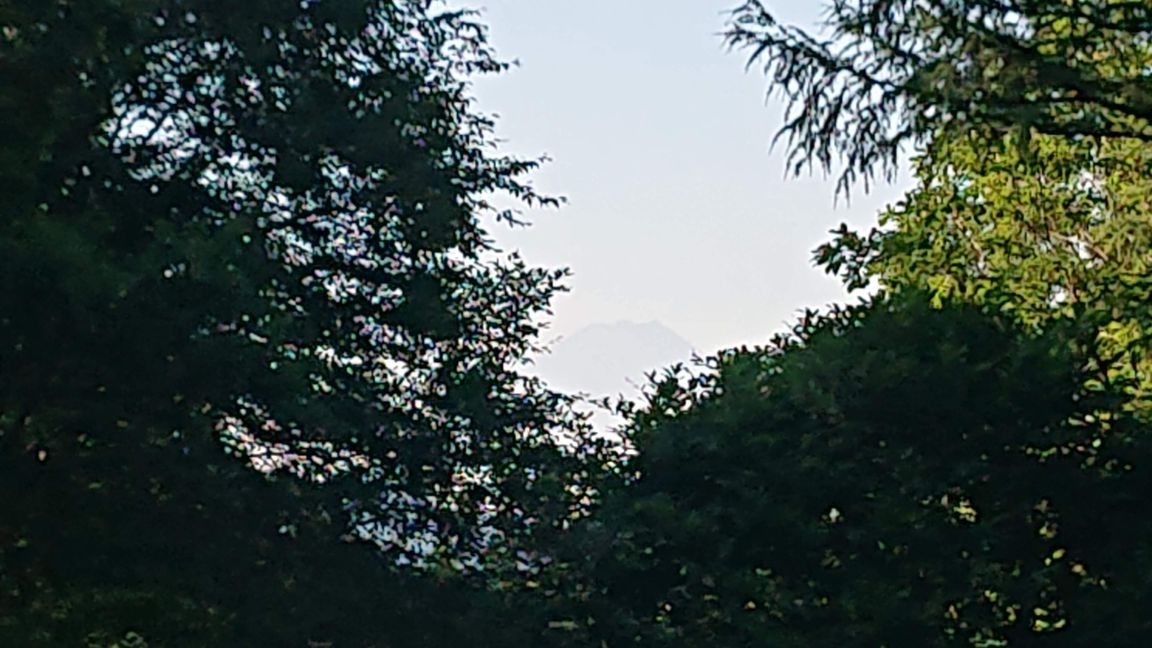 f:id:totsuspo:20190907133257j:plain f:id:totsuspo:20190907133257j:plain