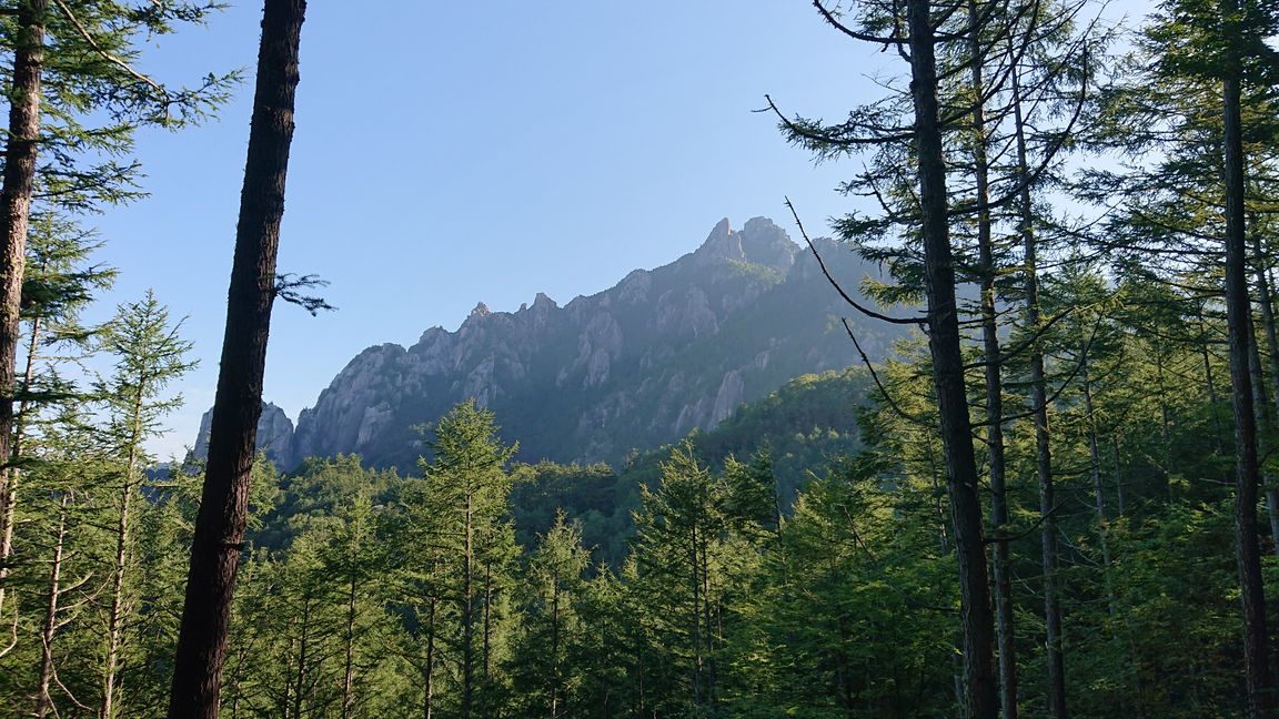 f:id:totsuspo:20190907133327j:plain f:id:totsuspo:20190907133327j:plain