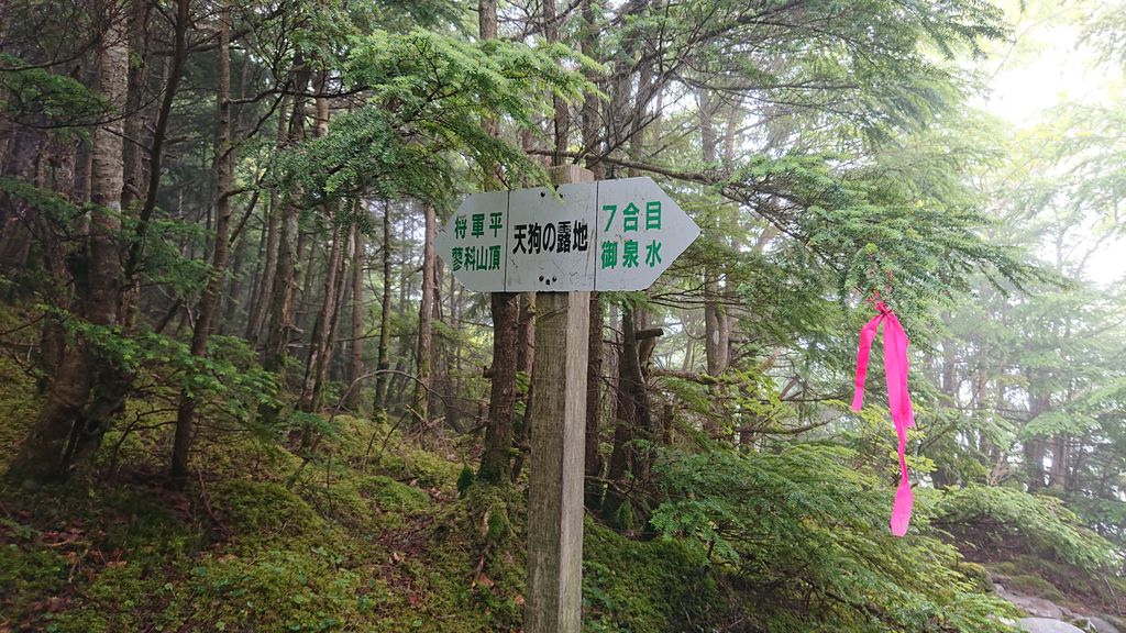 f:id:totsuspo:20190919061550j:plain