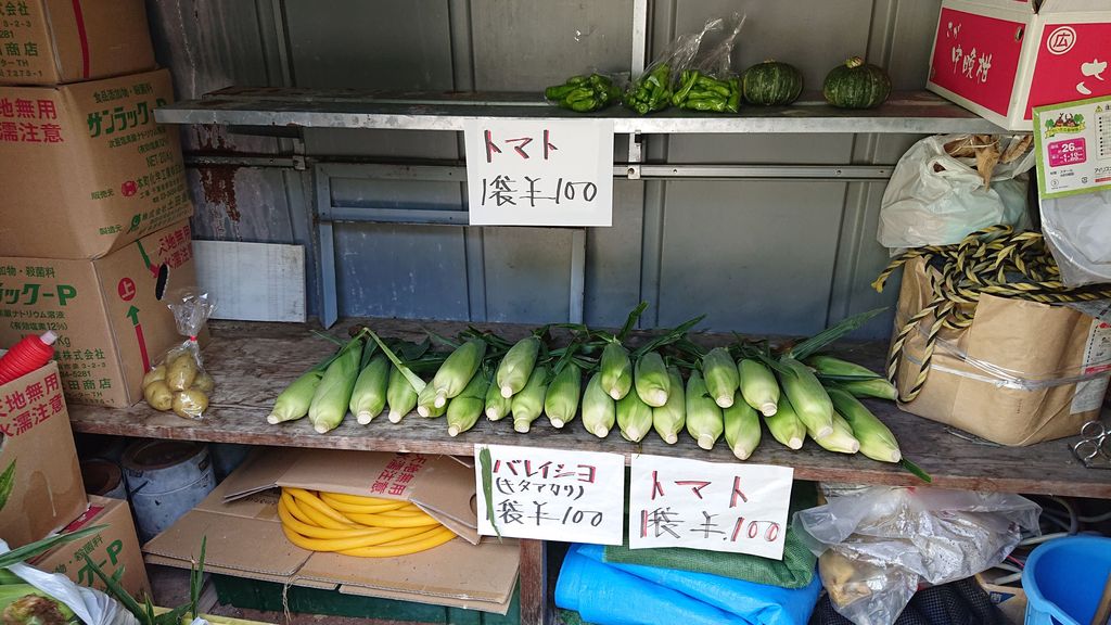 f:id:totsuspo:20190925225746j:plain