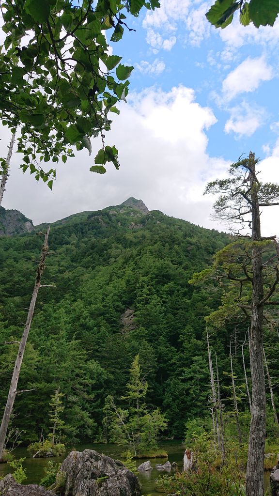 f:id:totsuspo:20190929230422j:plain f:id:totsuspo:20190929230422j:plain